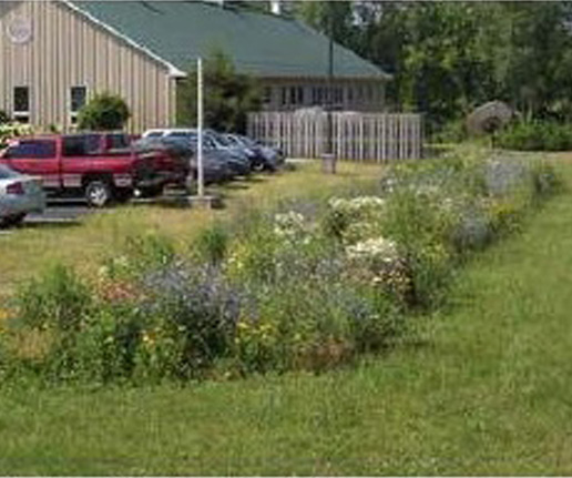 Vegetated/grass swale